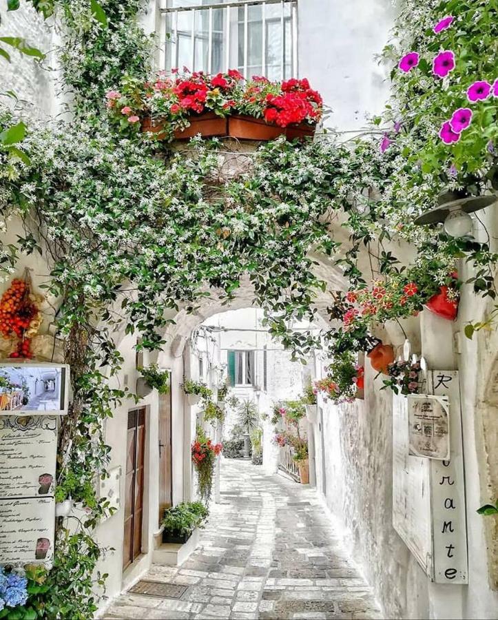 Casa Victoria Apartment Ostuni Ngoại thất bức ảnh
